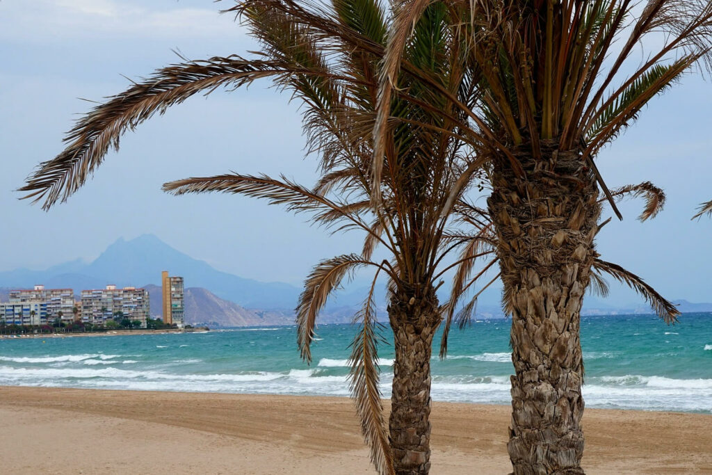 Kids & Teens | Die Sprachschule | Essen Krefeld Online